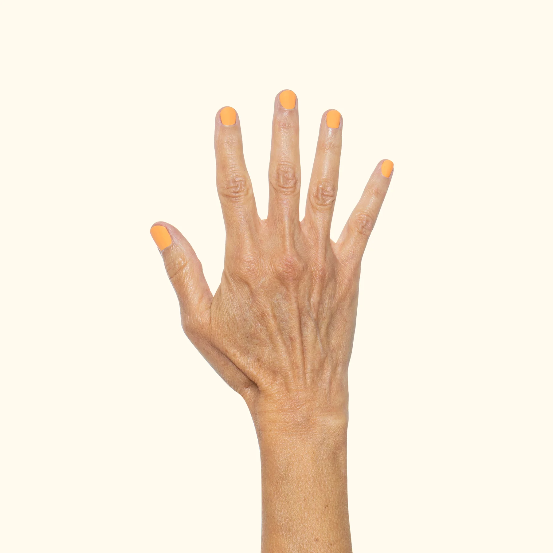 Georgia Peach - Image 9